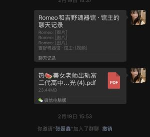 吃瓜群内部部分聊天记录展示