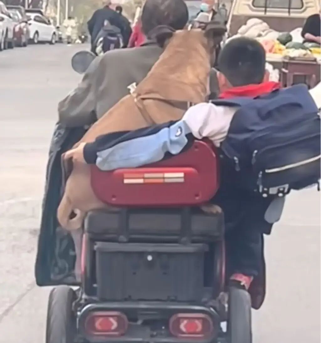 燥热难耐？一大波吃瓜热点来袭！