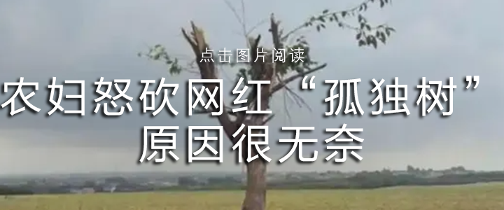 中学生深夜浏览色情漫画网站，妈妈崩溃：感觉天都塌了！